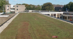 Schoolgebouw in Utrecht proeftuin voor verschillende groene daken Het nieuwe dak van de Herderschêeschool in het Utrechtse Zuilen wordt gebruikt om verschillende groene daken te testen. De komende drie jaar meet de Provincie Utrecht en de gemeente Utrecht...