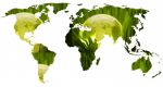 De MVO verslaggeving onder vastgoedondernemingen neemt internationaal fors toe. Dit blijkt uit Jones Lang LaSalle’s Global Sustainability Perspective, een driemaandelijks online rapport over wetgeving en vrijemarktmechanismen over energie-, duurzaamheids- en...